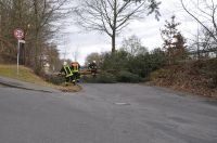 02_2010_Baum_auf_Strasse 06